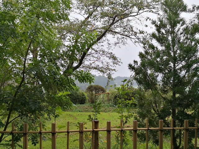 f:id:hiraryo0201:20190824121024j:image