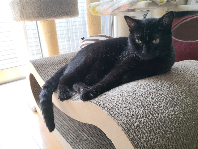 f:id:hiraryo0201:20190825203454j:plain