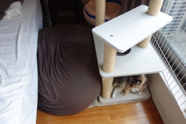 f:id:hiraryo0201:20190825220858j:plain