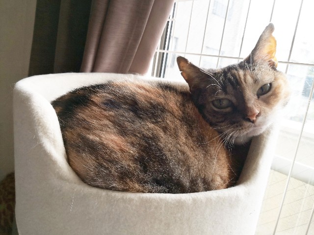f:id:hiraryo0201:20190831101201j:image