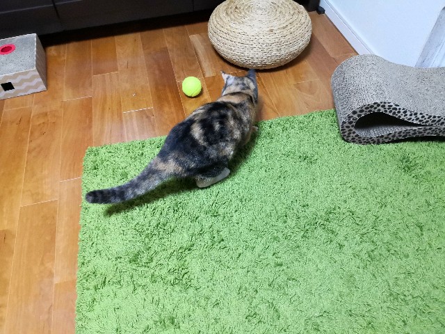 f:id:hiraryo0201:20190907102528j:plain