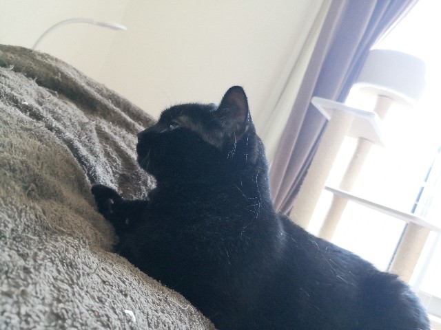 f:id:hiraryo0201:20190907102551j:image