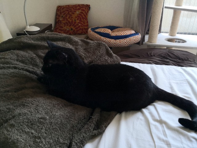 f:id:hiraryo0201:20190907102625j:image