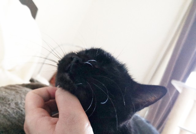 f:id:hiraryo0201:20190907102646j:image