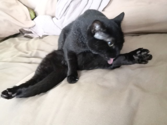 f:id:hiraryo0201:20190907145855j:image