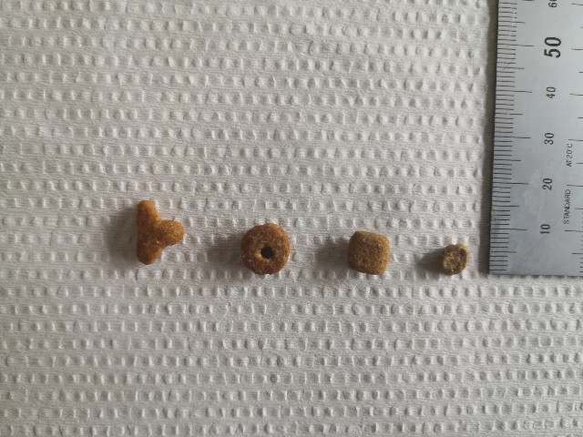 f:id:hiraryo0201:20190907145928j:plain f:id:hiraryo0201:20190907145928j:plain