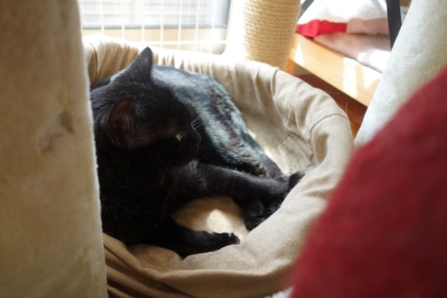 f:id:hiraryo0201:20190908131401j:plain f:id:hiraryo0201:20190908131401j:plain