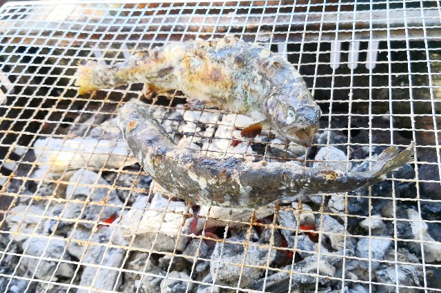 f:id:hiraryo0201:20190914205344j:plain f:id:hiraryo0201:20190914205344j:plain