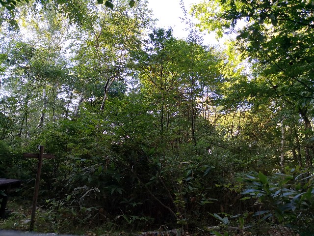 f:id:hiraryo0201:20190915174417j:image f:id:hiraryo0201:20190915174417j:image