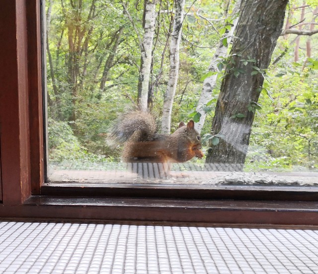 f:id:hiraryo0201:20190915174534j:image f:id:hiraryo0201:20190915174534j:image