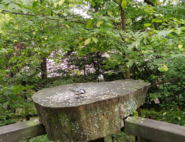 f:id:hiraryo0201:20190915174554j:image f:id:hiraryo0201:20190915174554j:image