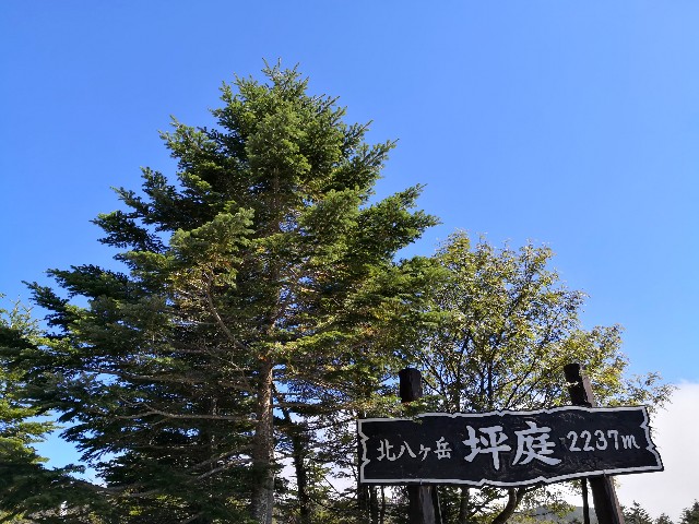 f:id:hiraryo0201:20190915175133j:image