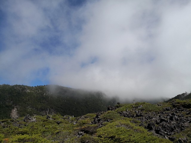 f:id:hiraryo0201:20190915175154j:image
