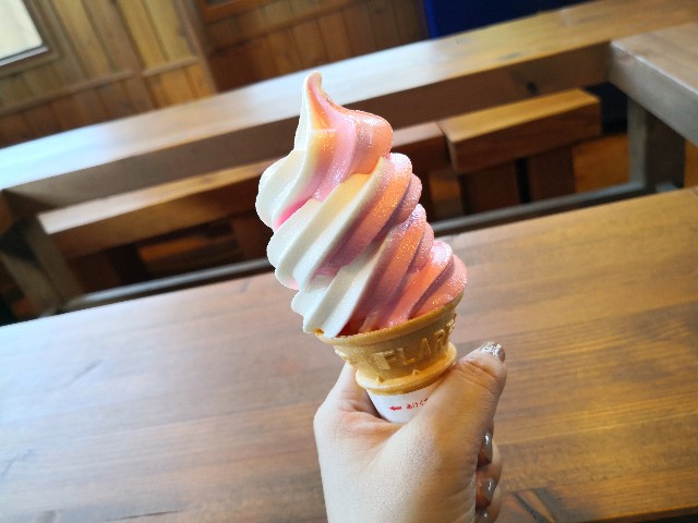 f:id:hiraryo0201:20190915175618j:image