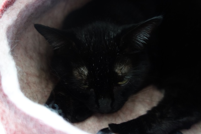 f:id:hiraryo0201:20190916183307j:plain f:id:hiraryo0201:20190916183307j:plain