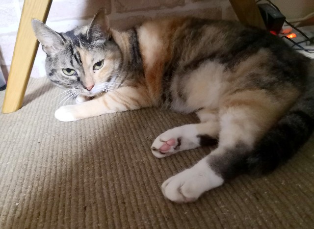 f:id:hiraryo0201:20190921232859j:image