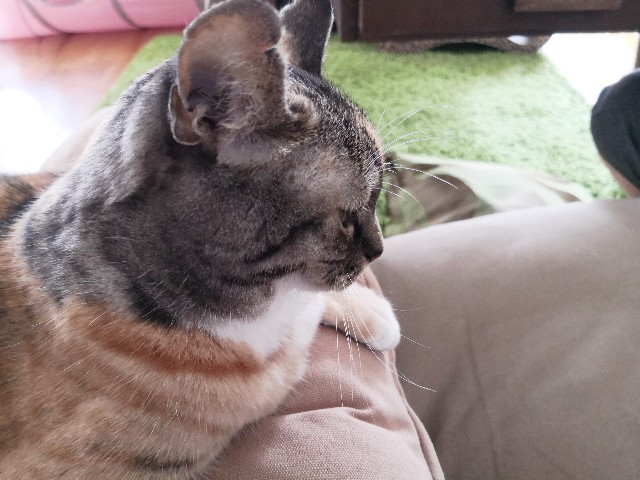 f:id:hiraryo0201:20190923144347j:image f:id:hiraryo0201:20190923144347j:image