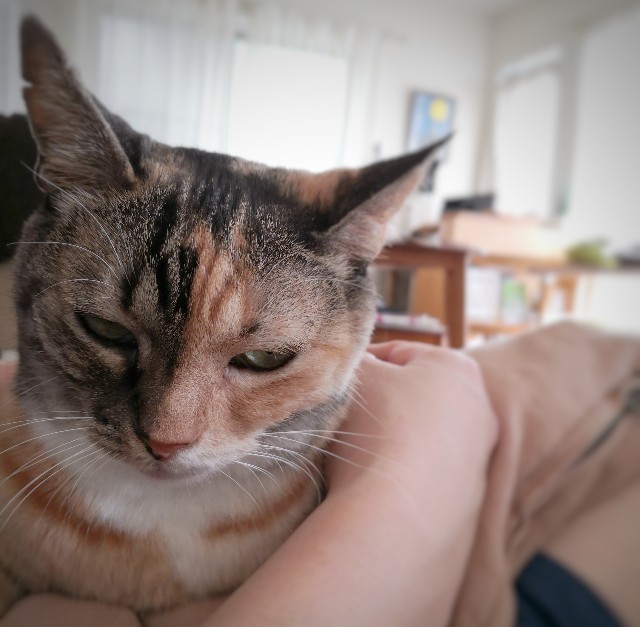 f:id:hiraryo0201:20190923144357j:image f:id:hiraryo0201:20190923144357j:image