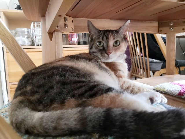 f:id:hiraryo0201:20190923153406j:image f:id:hiraryo0201:20190923153406j:image