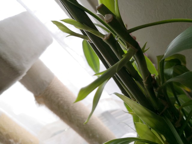 f:id:hiraryo0201:20190923153437j:image f:id:hiraryo0201:20190923153437j:image