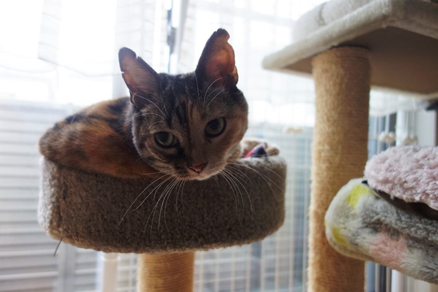 f:id:hiraryo0201:20190923161436j:plain f:id:hiraryo0201:20190923161436j:plain