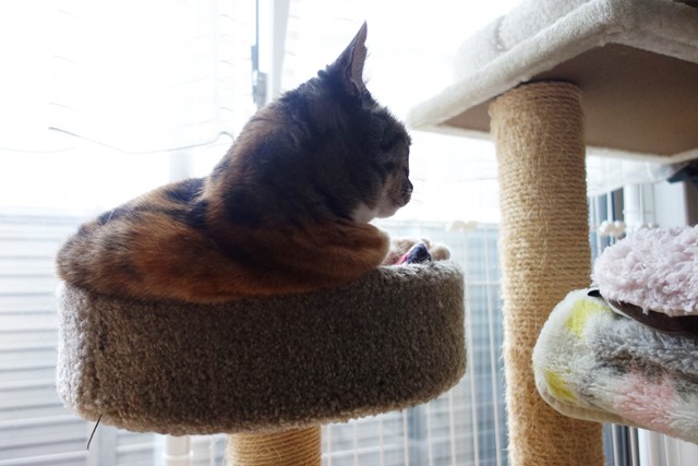 f:id:hiraryo0201:20190923161442j:plain f:id:hiraryo0201:20190923161442j:plain