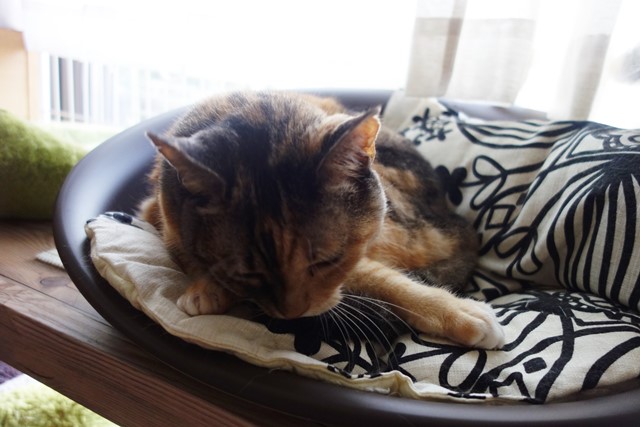 f:id:hiraryo0201:20190923162148j:plain f:id:hiraryo0201:20190923162148j:plain