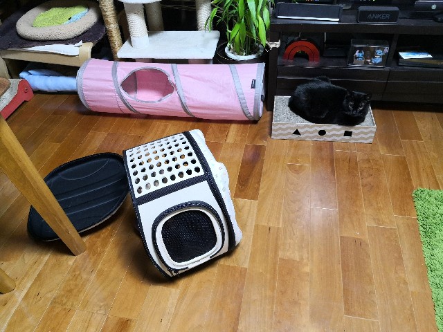 f:id:hiraryo0201:20191014112832j:plain