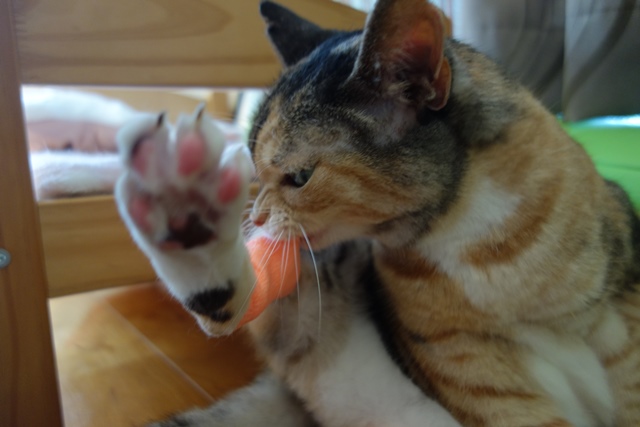 f:id:hiraryo0201:20191014220605j:plain f:id:hiraryo0201:20191014220605j:plain