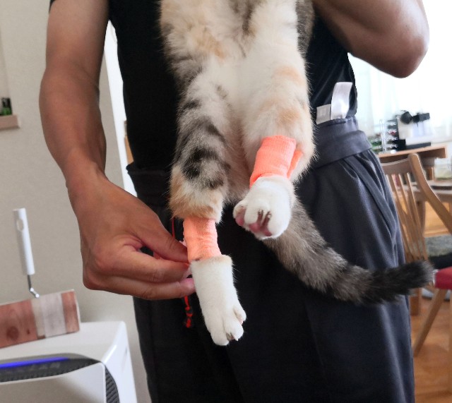 f:id:hiraryo0201:20191019125810j:image f:id:hiraryo0201:20191019125810j:image