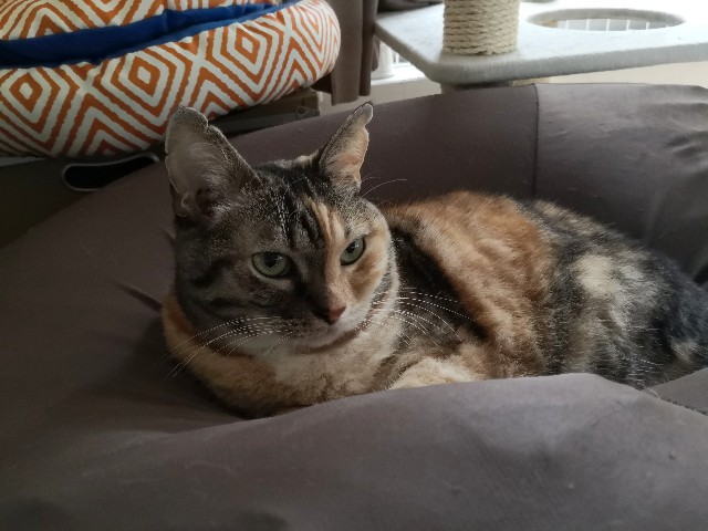 f:id:hiraryo0201:20191028001842j:image f:id:hiraryo0201:20191028001842j:image