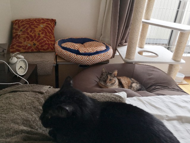 f:id:hiraryo0201:20191028001904j:image f:id:hiraryo0201:20191028001904j:image