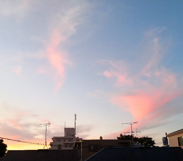 f:id:hiraryo0201:20191103210025j:image