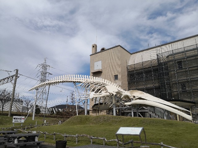f:id:hiraryo0201:20191103210347j:image