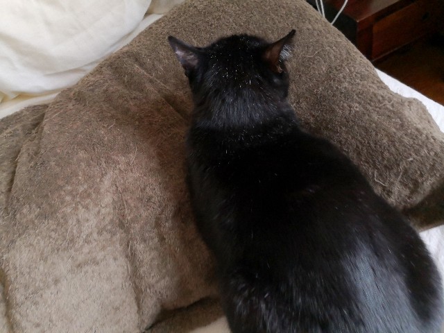 f:id:hiraryo0201:20191103215948j:image f:id:hiraryo0201:20191103215948j:image