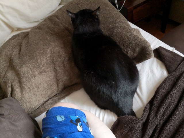 f:id:hiraryo0201:20191103220033j:image f:id:hiraryo0201:20191103220033j:image