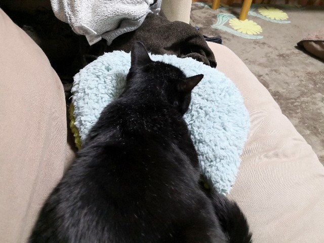 f:id:hiraryo0201:20191114001707j:image