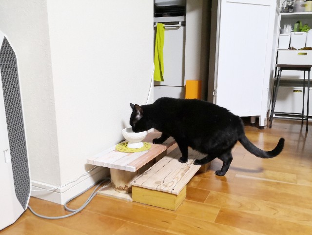 f:id:hiraryo0201:20191115222027j:image