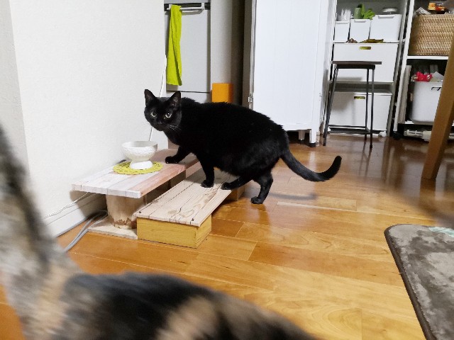 f:id:hiraryo0201:20191115222037j:image