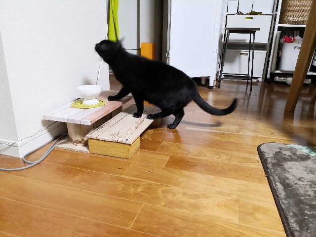 f:id:hiraryo0201:20191115222046j:image