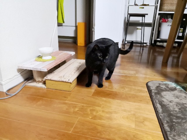 f:id:hiraryo0201:20191115222056j:image