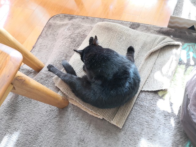 f:id:hiraryo0201:20191117141907j:image