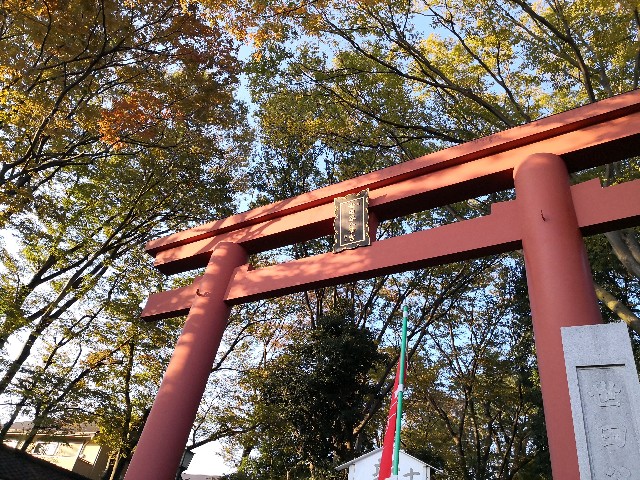 f:id:hiraryo0201:20191117154515j:image