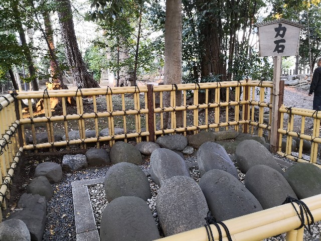 f:id:hiraryo0201:20191117154607j:image