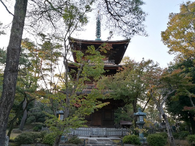 f:id:hiraryo0201:20191117154727j:image