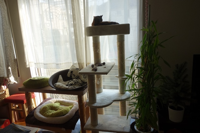 f:id:hiraryo0201:20191117224810j:plain