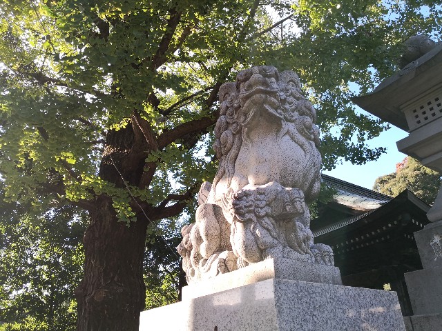 f:id:hiraryo0201:20191117230850j:image