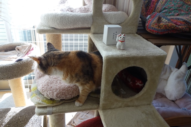 f:id:hiraryo0201:20191117235206j:plain