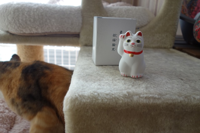 f:id:hiraryo0201:20191117235225j:plain