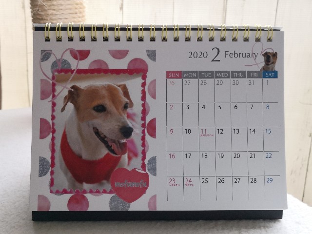 f:id:hiraryo0201:20191123184747j:plain f:id:hiraryo0201:20191123184747j:plain